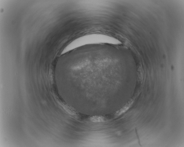 X0000071860762200607211917