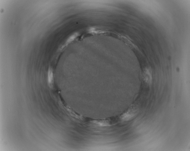 X0000071860763200607211917