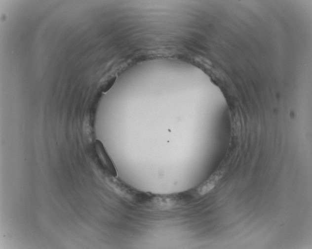 X0000071860764200607211917