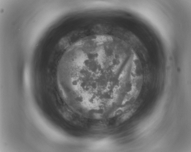 X0000071860765200607211917