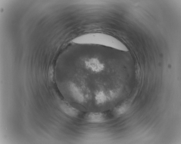 X0000071860767200607211917