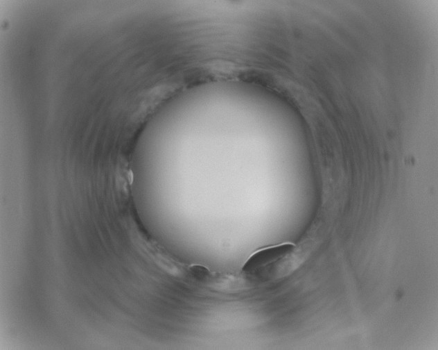 X0000071860768200607211917