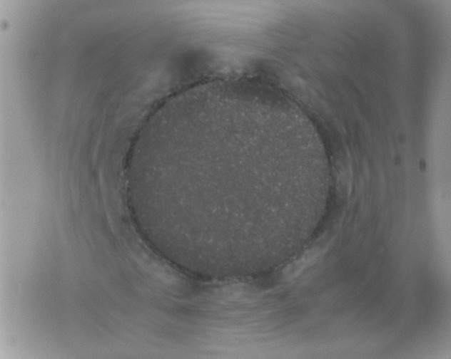 X0000071860769200607211916