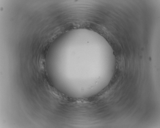 X0000071860770200607211916