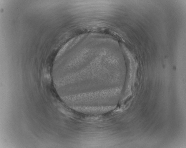 X0000071860771200607211916