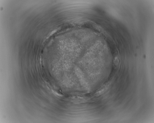 X0000071860772200607211916