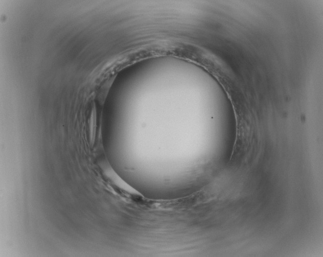 X0000071860773200607211916