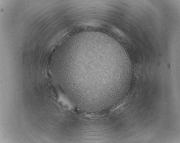 X0000071860774200607211916