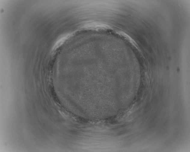 X0000071860775200607211916