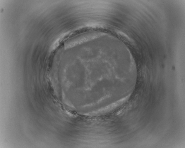 X0000071860776200607211916