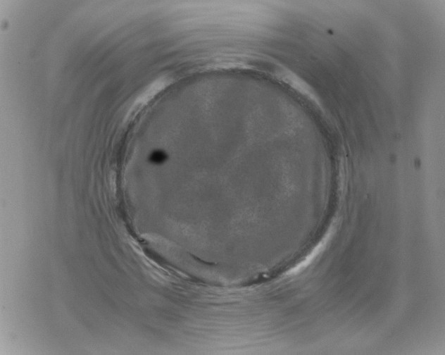 X0000071860777200607211916