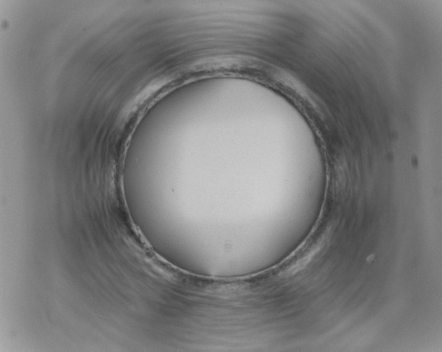 X0000071860778200607211916