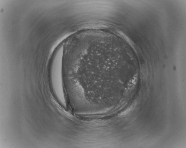 X0000071860779200607211916