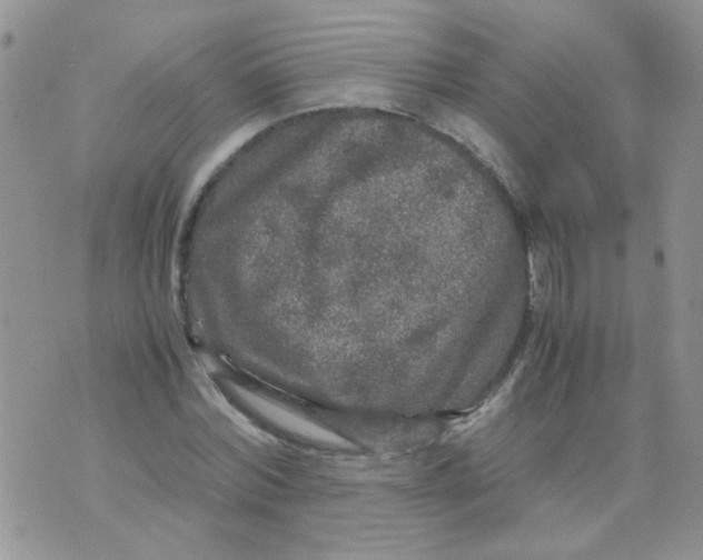 X0000071860780200607211916