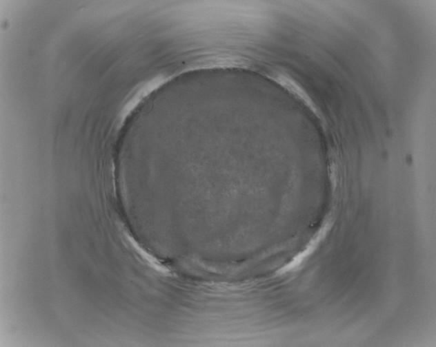 X0000071860781200607211916