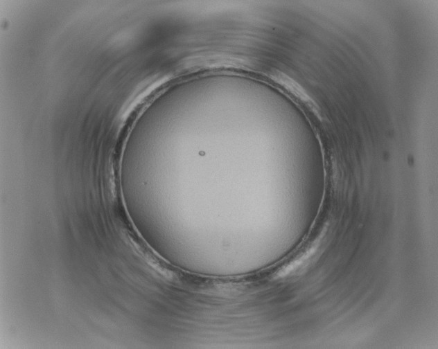 X0000071860782200607211916