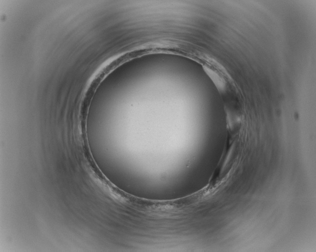 X0000071860784200607211916