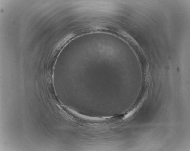 X0000071860785200607211916