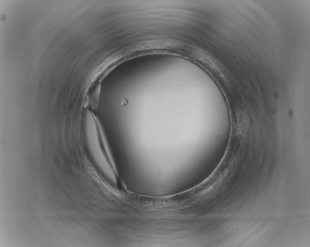 X0000071860786200607211916