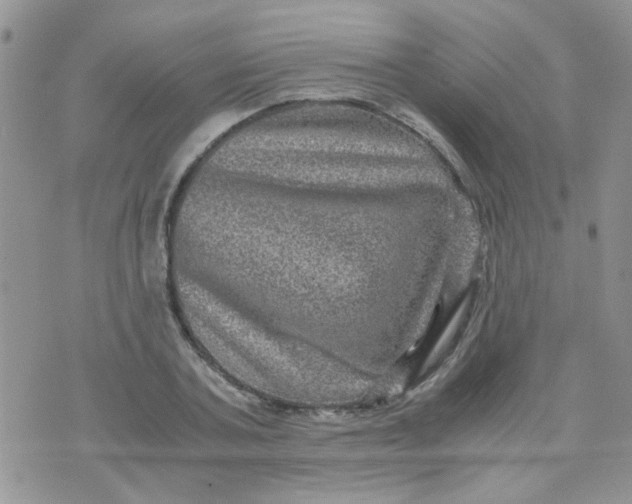 X0000071860787200607211916