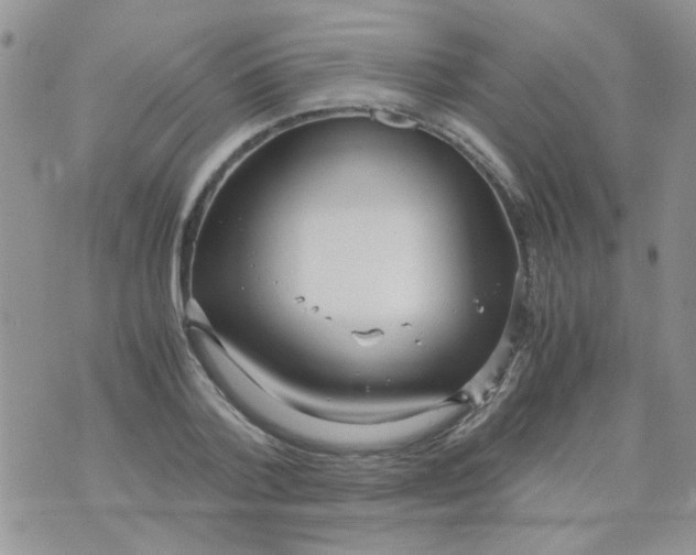 X0000071860788200607211916