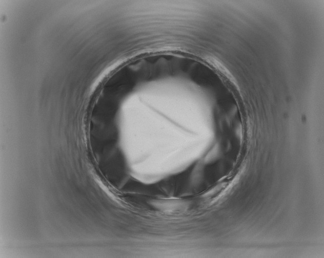 X0000071860789200607211916