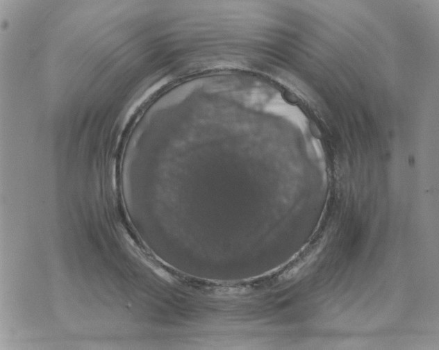 X0000071860790200607211916