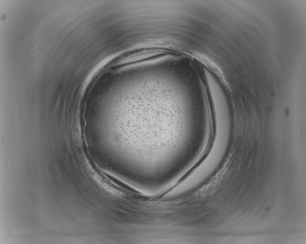 X0000071860792200607211916