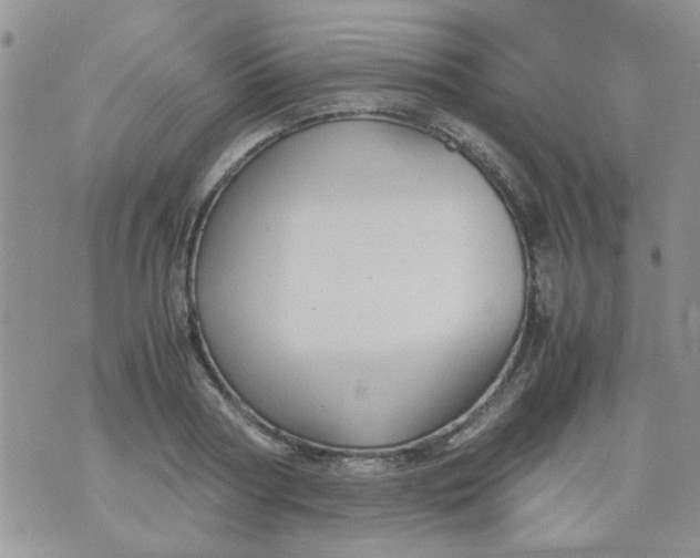 X0000071860794200607211916