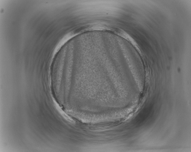 X0000071860795200607211916