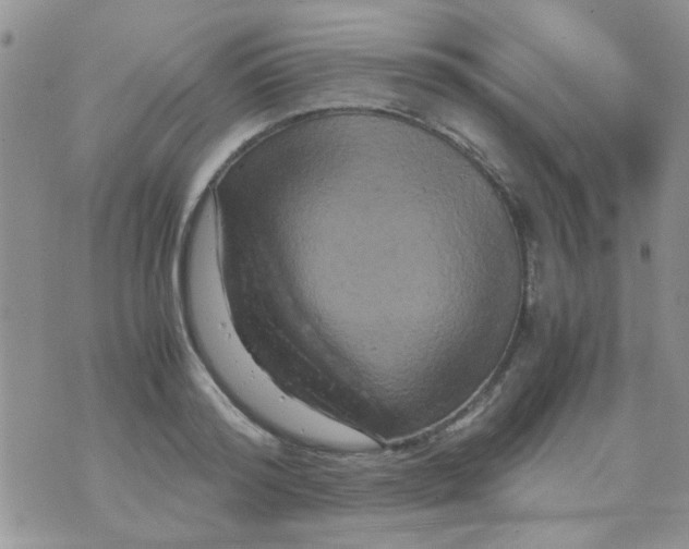 X0000071860796200607211916