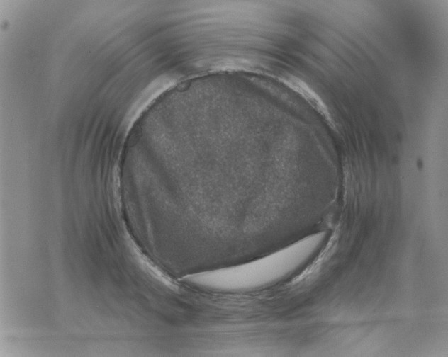 X0000071860798200607211916