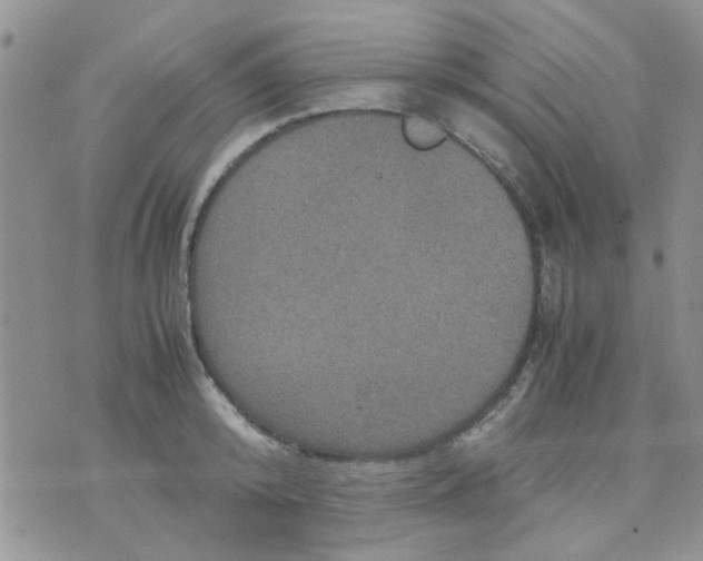 X0000071860800200607211916