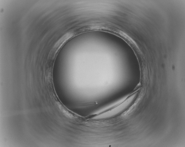 X0000071860801200607211916