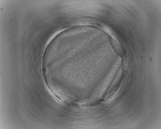 X0000071860803200607211916