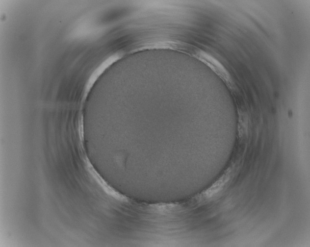 X0000071860804200607211916