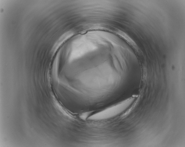 X0000071860806200607211916