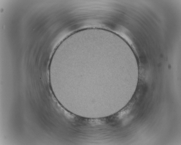 X0000071860807200607211916