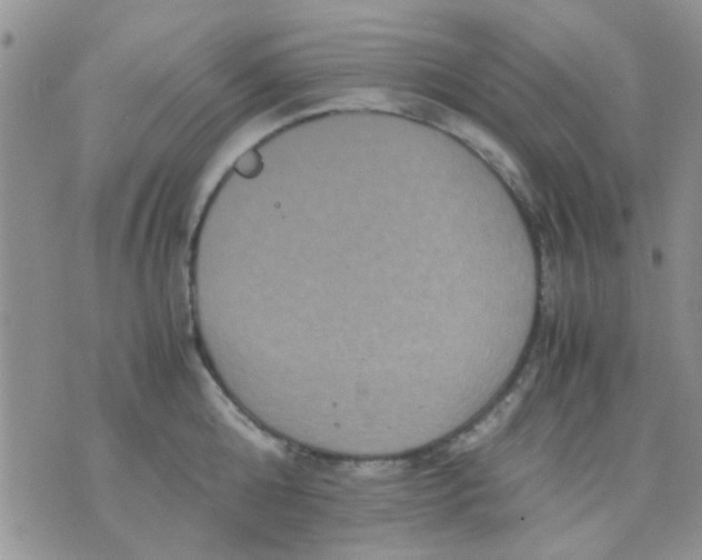 X0000071860808200607211916