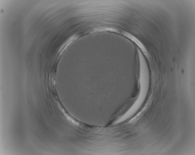 X0000071860809200607211916