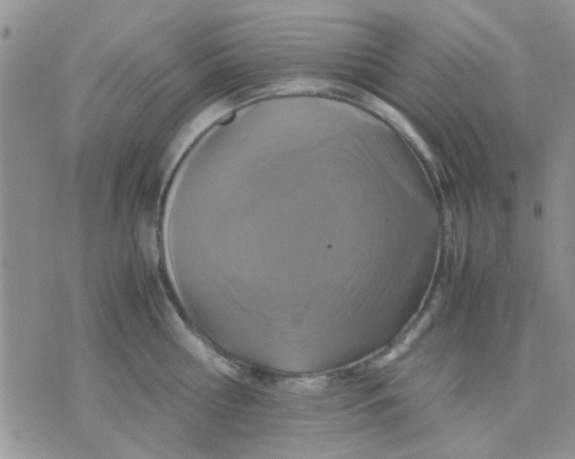 X0000071860810200607211916