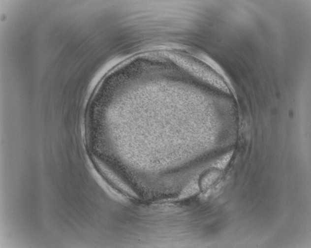 X0000071860811200607211916