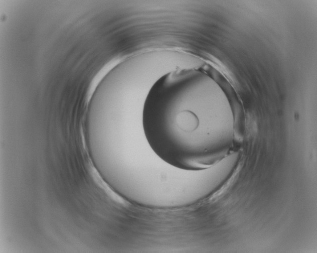 X0000071860812200607211916