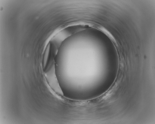 X0000071860813200607211916