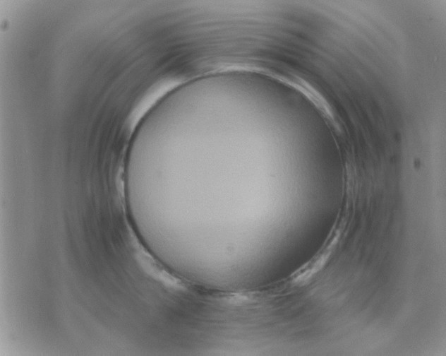 X0000071860814200607211916