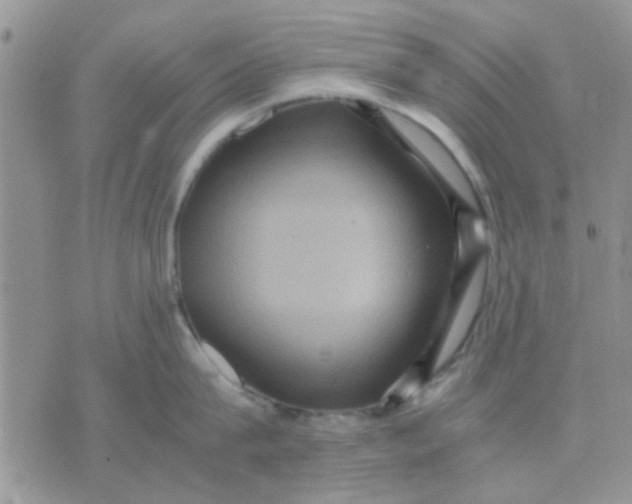 X0000071860815200607211915