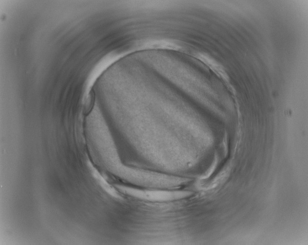 X0000071860816200607211915