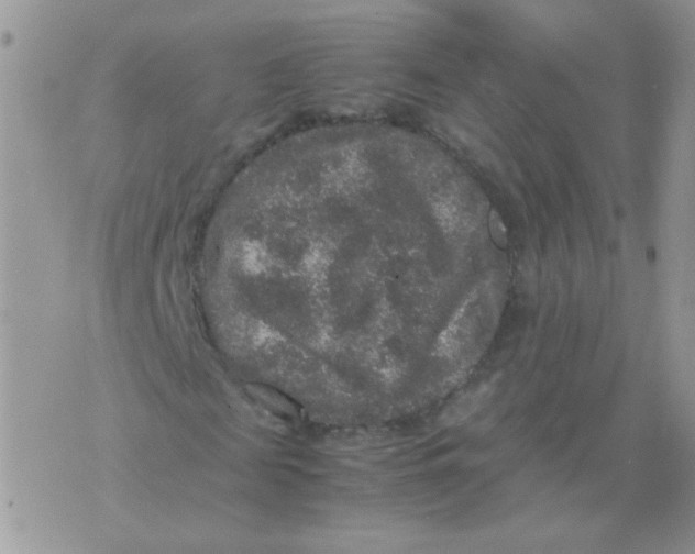 X0000071860817200607211915