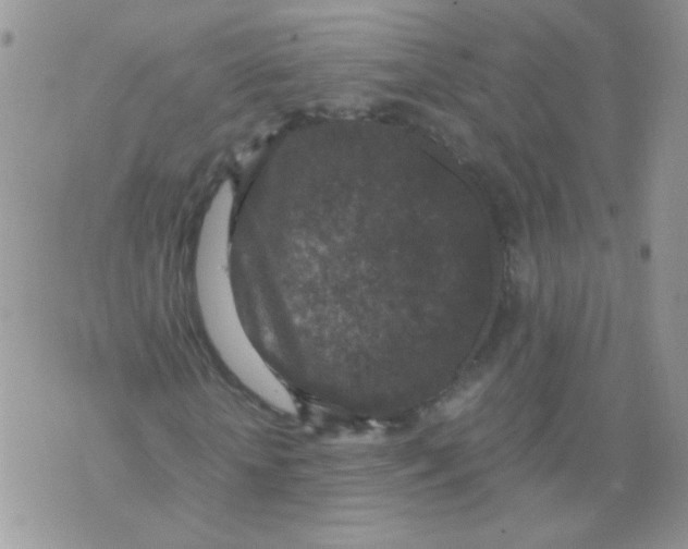 X0000071860818200607211915