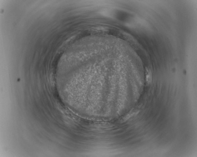 X0000071860819200607211915